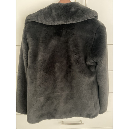Oakwood Jacket/Coat in Grey