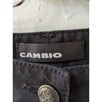 Cambio Hose aus Baumwolle in Schwarz
