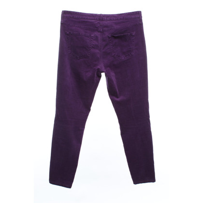 Rich & Royal Trousers in Violet