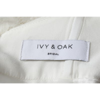Ivy & Oak Vestito in Crema
