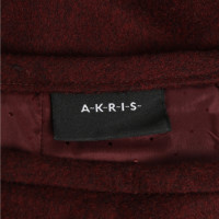 Akris Gonna in Cashmere in Bordeaux