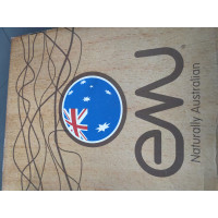 Emu Australia Bottes en Daim en Noir