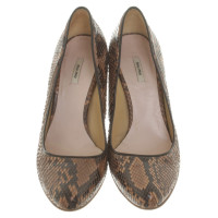 Miu Miu pumps from snake leather