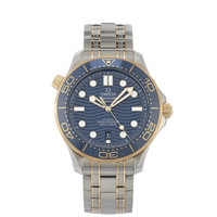 Omega Seamaster Diver 300M Master Co-Axial Staal