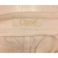 Chloé Pantaloncini in Cotone in Bianco