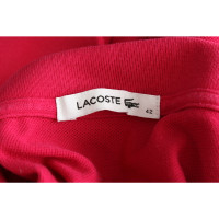 Lacoste Kleid aus Baumwolle in Fuchsia