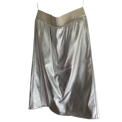 Dolce & Gabbana Skirt in Silvery
