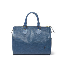 Louis Vuitton Speedy in Blue