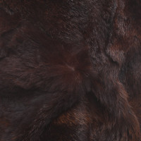 Plein Sud Jacket/Coat Fur in Brown