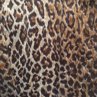 D&G D & G Leopard dress