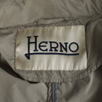 Herno Giacca/Cappotto in Cachi