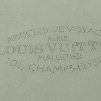 Louis Vuitton iPhone 5 case in mint green