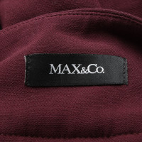 Max & Co Skirt in Bordeaux