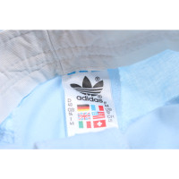 Adidas Pantaloncini in Blu