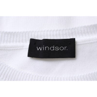 Windsor Strick aus Baumwolle in Weiß