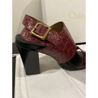 Chloé Sandals Leather in Bordeaux