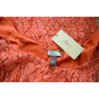 Issa Dress Cotton in Orange