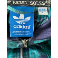 Adidas Jas/Mantel in Blauw