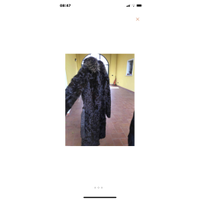 Giorgio Brato Jacket/Coat Fur in Brown