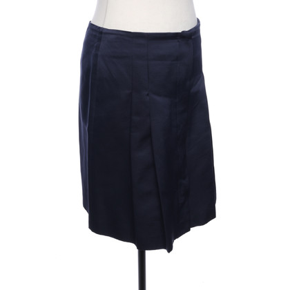 S Max Mara Skirt in Blue