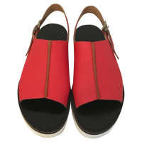 Dondup Sandalen