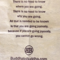 Buddha To Buddha Unisex armband