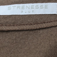 Strenesse Blue Sheath dress in brown