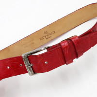 Etro Gürtel aus Leder in Rot