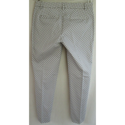 Cappellini Trousers Cotton in Grey