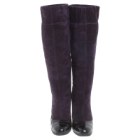 Paule Ka Boots in purple / black