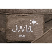 Juvia Jeans in Khaki
