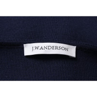 J.W. Anderson Dress in Blue