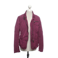 Hetregó Jacket/Coat in Violet