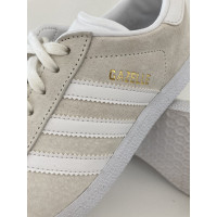 Adidas Sneaker in Pelle scamosciata in Beige