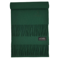 Trussardi Scarf/Shawl Wool in Green