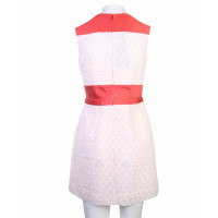Carven Kleid aus Baumwolle in Rosa / Pink
