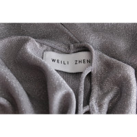 Weili Zheng Top in Silvery