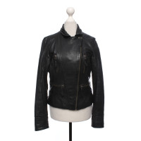 Oakwood Veste/Manteau en Cuir en Noir