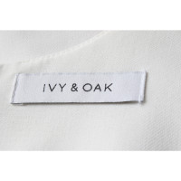 Ivy & Oak Top in White