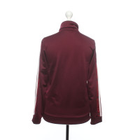 Adidas Giacca/Cappotto in Bordeaux