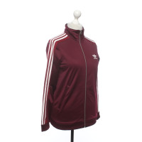 Adidas Giacca/Cappotto in Bordeaux