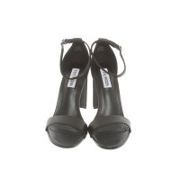 Steve Madden Sandals Leather in Black