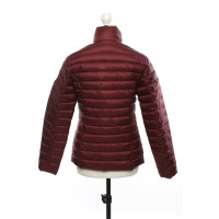 Jott Jacket/Coat in Bordeaux