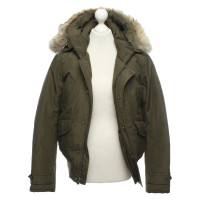 Woolrich Giacca/Cappotto in Verde