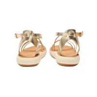 Ancient Greek Sandals Sandals