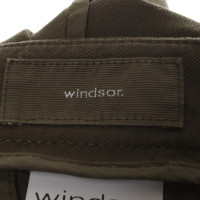 Windsor Shorts in groen