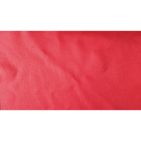 Christian Dior Scarf/Shawl Silk in Red