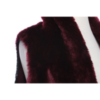 Rich & Royal Gilet en Bordeaux