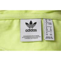 Adidas Top in Yellow