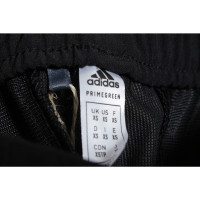 Adidas Broeken in Zwart